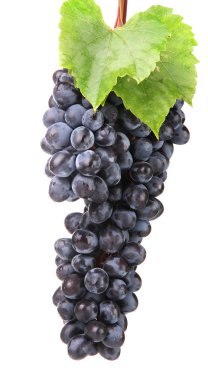 Olgun tatlı üzüm üzerine beyaz izole