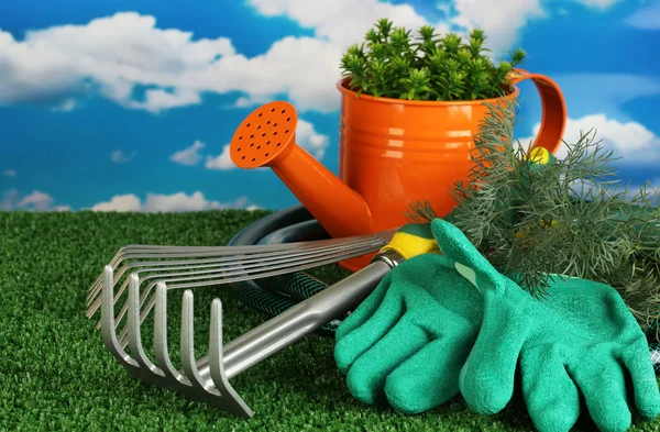 Garden tools on lawn on sky background close-up — Stock Photo, Image