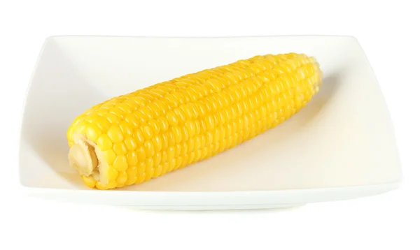 Boiled corn isolated on white on the white plate — Stock Photo, Image