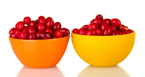 Свежие кукурузные ягоды в красочных чашах, изолированных на белом — стоковое фото