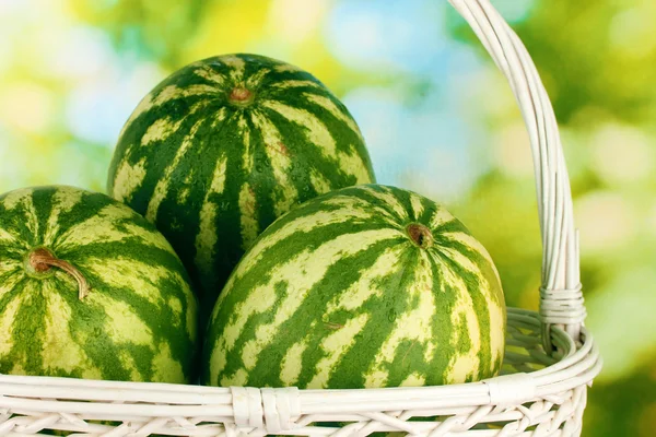 Rijp watermeloen in rieten mand op groene achtergrond close-up — Stockfoto
