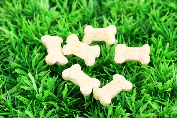 Alimentos secos em forma de osso para cães na grama verde — Fotografia de Stock