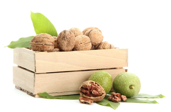 Nueces con hojas verdes en caja de madera, aisladas en blanco — Foto de Stock