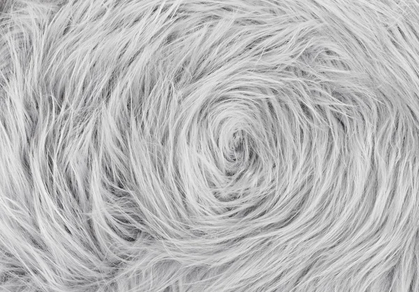 Gray fur texture, close-up.Useful as background — Stock Photo, Image