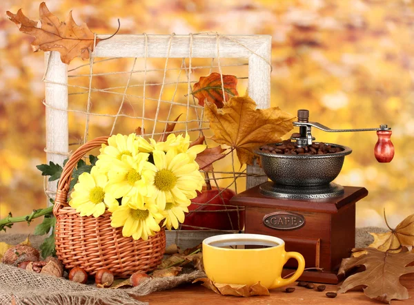 Autumnal composition:coffee grinder, flowers and leaves on bright background — Stock Photo, Image