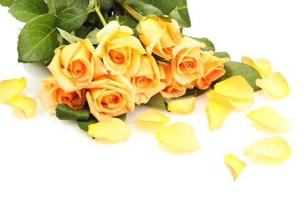 Vacker bukett av rosor och kronblad isolerad på vit — Stockfoto