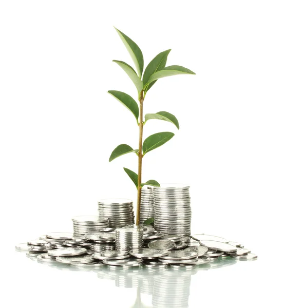 Plant growing out of silver coins isolated on white — Stock Photo, Image