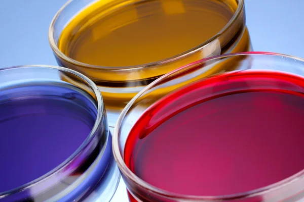 Líquido de color en placas de Petri sobre fondo azul — Foto de Stock