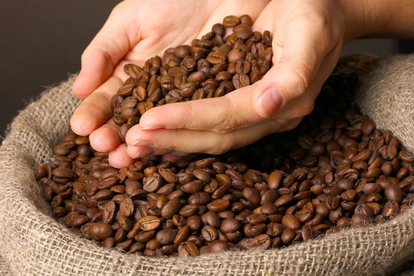 Coffee beans in hands on dark background — Stock Photo, Image