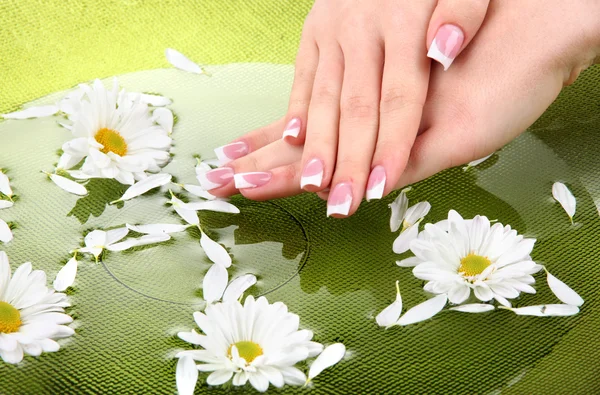 Woman hands with french manicure and flowers in green bowl with water — Stock Photo, Image