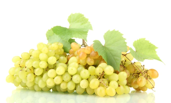成熟的甜葡萄上白色隔离 — 图库照片