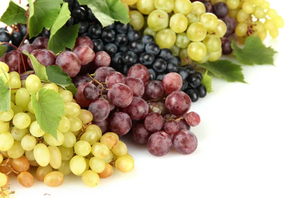 Sortimento de uvas doces maduras isoladas em branco — Fotografia de Stock