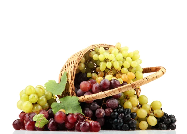 Sortimento de uvas doces maduras em cesta, isoladas em branco — Fotografia de Stock