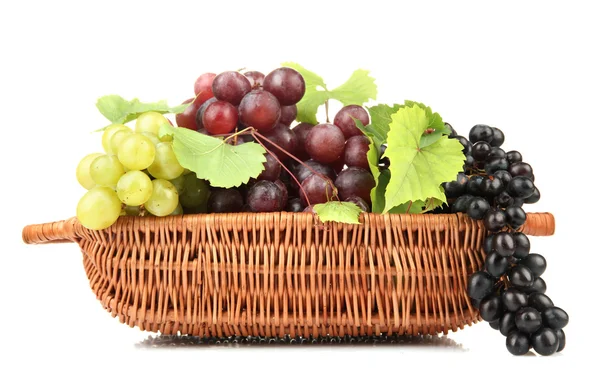 成熟的甜葡萄在篮子里，孤立的白色衬底上的分类 — 图库照片