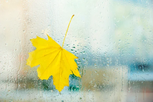 Hoja de arce de otoño en vidrio con gotas de agua naturales —  Fotos de Stock
