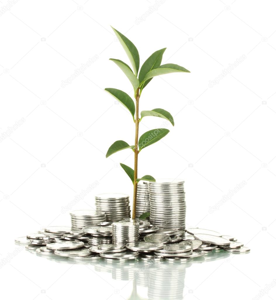 plant growing out of silver coins isolated on white