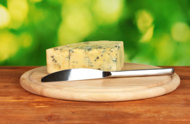 kalıp ve parlak yeşil zemin üzerine kesme tahtası üzerinde bıçak ile peynir