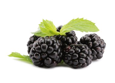 güzel böğürtlen yaprağı üzerinde beyaz izole