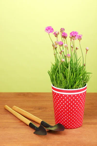 Rosa blommor i kruka med instrument på träbord på grön bakgrund — Stockfoto