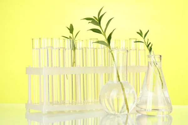 Test-tubes with a transparent solution and the plant on yellow background close-up — Stock Photo, Image