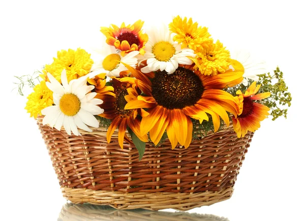 Beautiful bouquet of bright wildflowers in basket, isolated on white — Stock Photo, Image