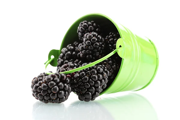 用树叶上白色隔离的存储桶中的美丽黑莓 — 图库照片