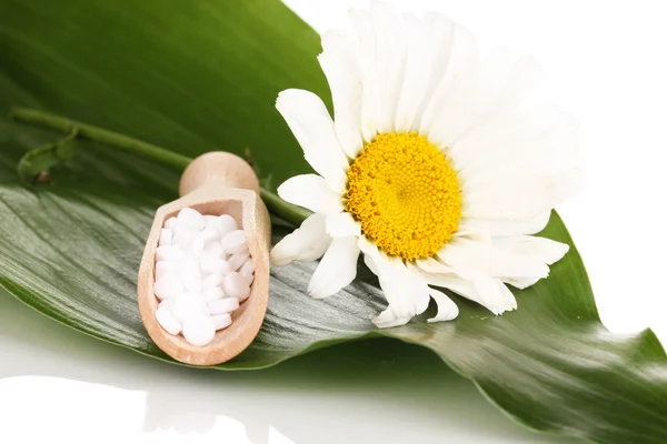 Homeopathic tablets and flower on green leaf isolated on white — Stock Photo, Image