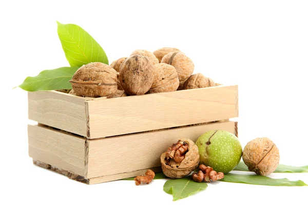 Walnuts with green leaves in woooden crate, isolated on white — Stock Photo, Image