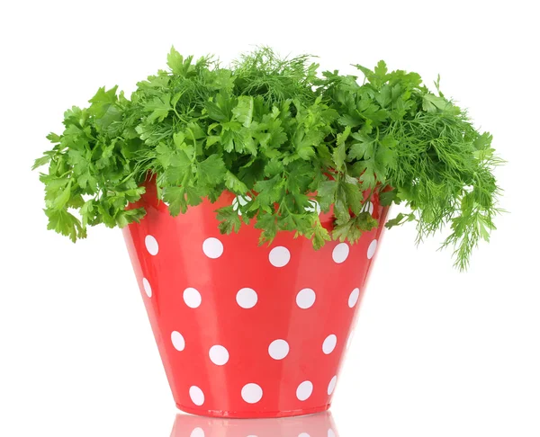 Colorful bucket with parsley and dill isolated on white — Stock Photo, Image