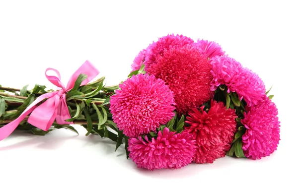 Roze aster bloemen, geïsoleerd op wit — Stockfoto