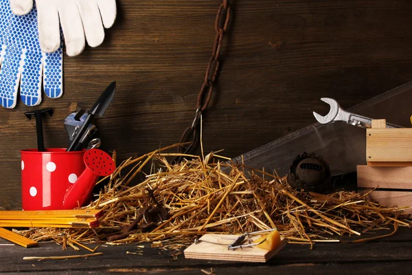 Mousetrap with a piece of cheese in barn on wooden background — Stock Photo, Image