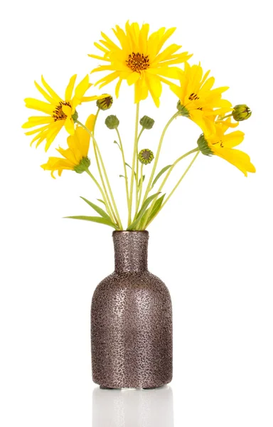 白で隔離される花瓶に美しい黄色い花 — ストック写真