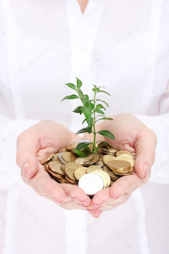 Woman hands with coins and plant