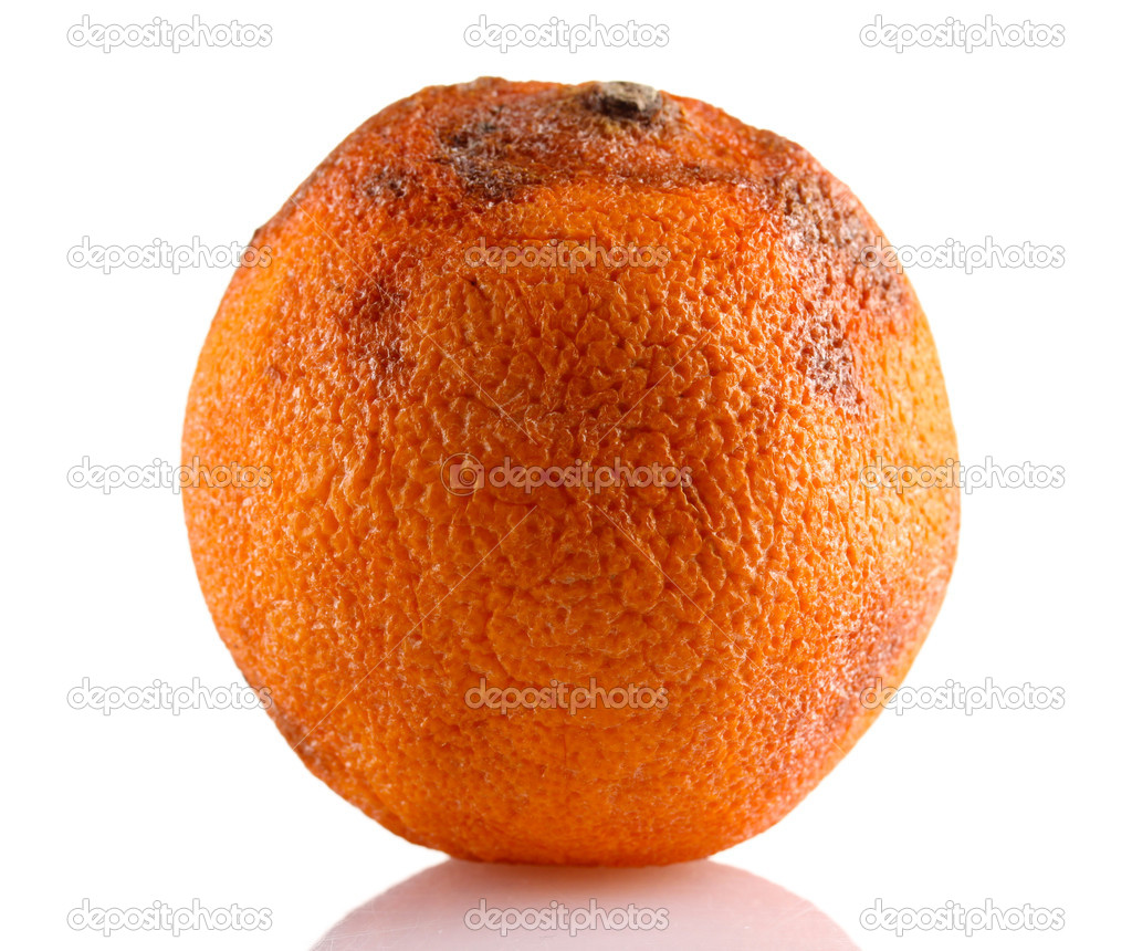 Rotten orange isolated on white