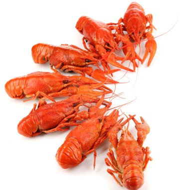 beyaz izole lezzetli haşlanmış crayfishes