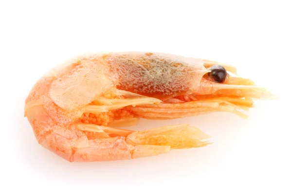 Boiled shrimp isolated on white — Stock Photo, Image