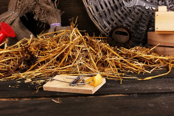 Mousetrap with a piece of cheese in barn on wooden background — Stock Photo, Image