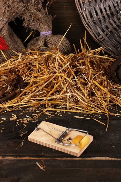 Trappola per topi con un pezzo di formaggio in fienile su sfondo di legno — Foto Stock