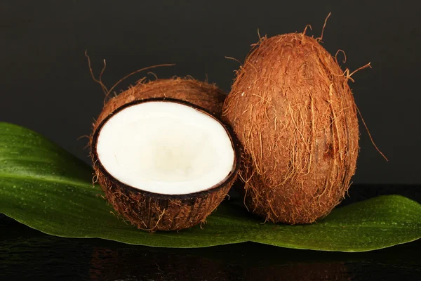 Noci di cocco su sfondo nero primo piano — Foto Stock