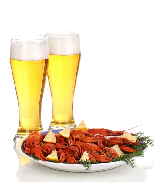 水煮小龙虾和啤酒上白色隔离 — 图库照片