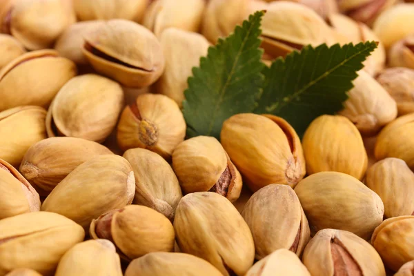 Smakelijke pistache noten met bladeren, close-up — Stockfoto