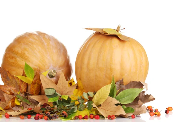 Two ripe orange pumpkins with yellow autumn leaves isolated on white — Stock Photo, Image