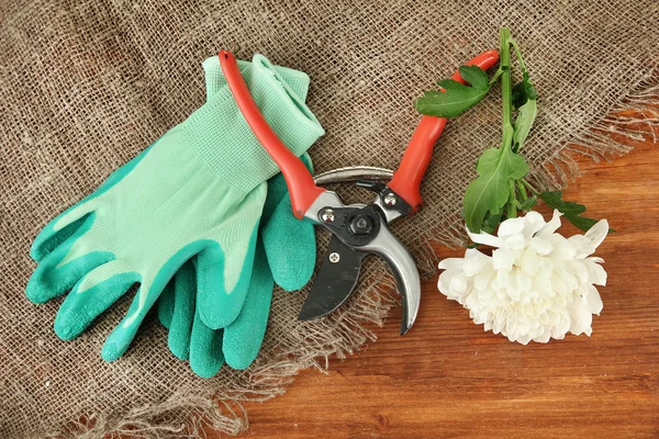 Secateurs with flower on sackcloth on wooden background — Stock Photo, Image