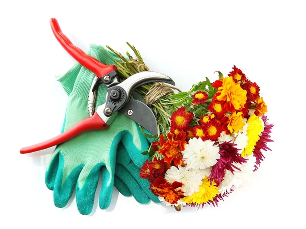 Secateurs with flowers isolated on white — Stock Photo, Image