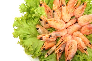 tabakta üzerine beyaz izole marul yaprakları ile haşlanmış karides