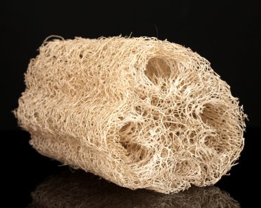 siyah üzerine izole lif kabağı