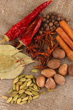 Küçük Hindistan cevizi ve diğer baharatlar çul zemin üzerine