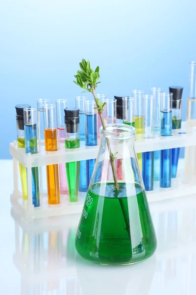 Verschiedene Laborgläser mit Farbflüssigkeit auf blauem Hintergrund — Stockfoto