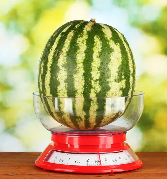 Ripe watermelon in kitchen scales on green background close-up — Stock Photo, Image