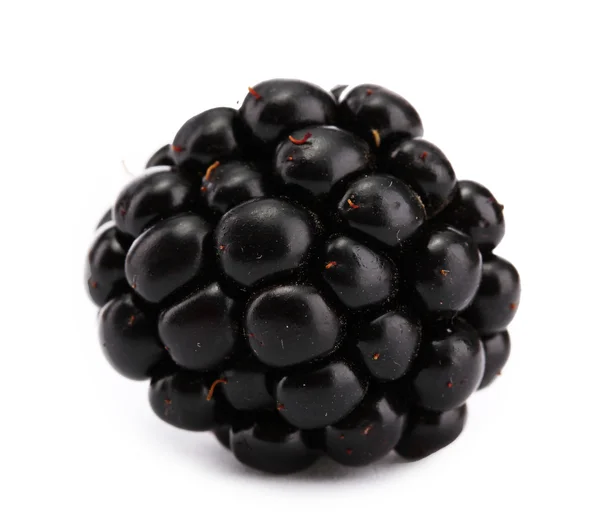 Gyönyörű blackberry elszigetelt fehér — Stock Fotó